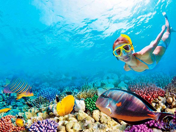 Snorkel Playa del Cramen